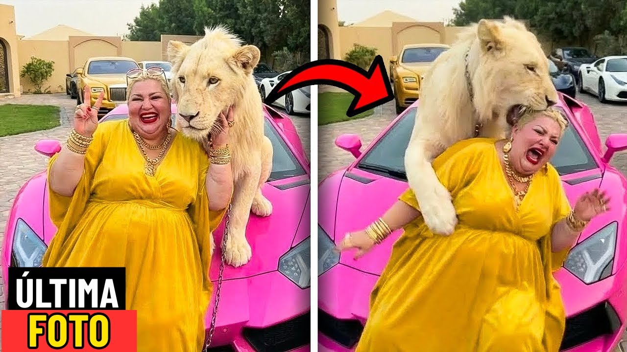 6 IDIOTAS que MORRERAM de maneiras muito IMBECIS!