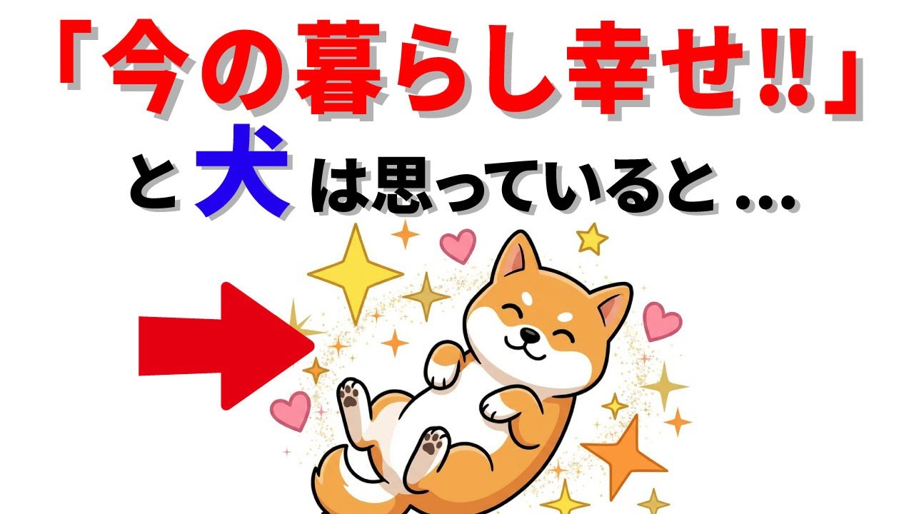 【泣ける】犬が今の暮らしに幸せと感じている行動１4選