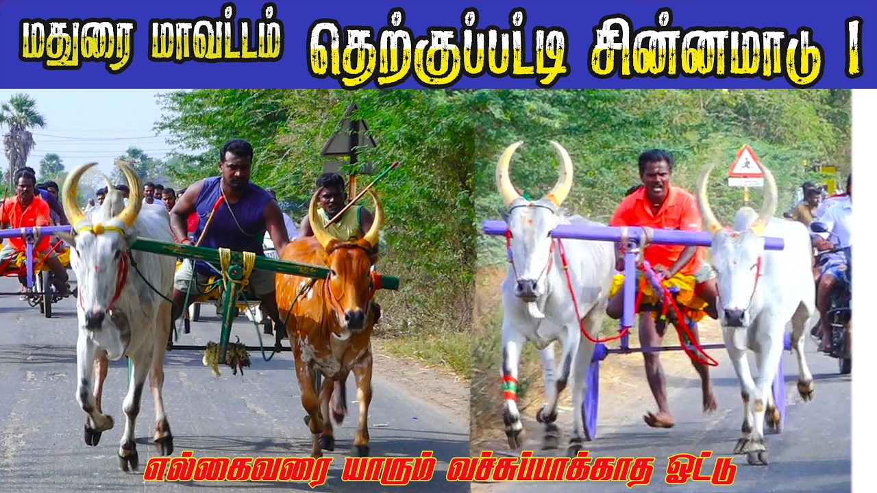 1சின்னமாடு தெற்குப்பட்டி 11.03.2026