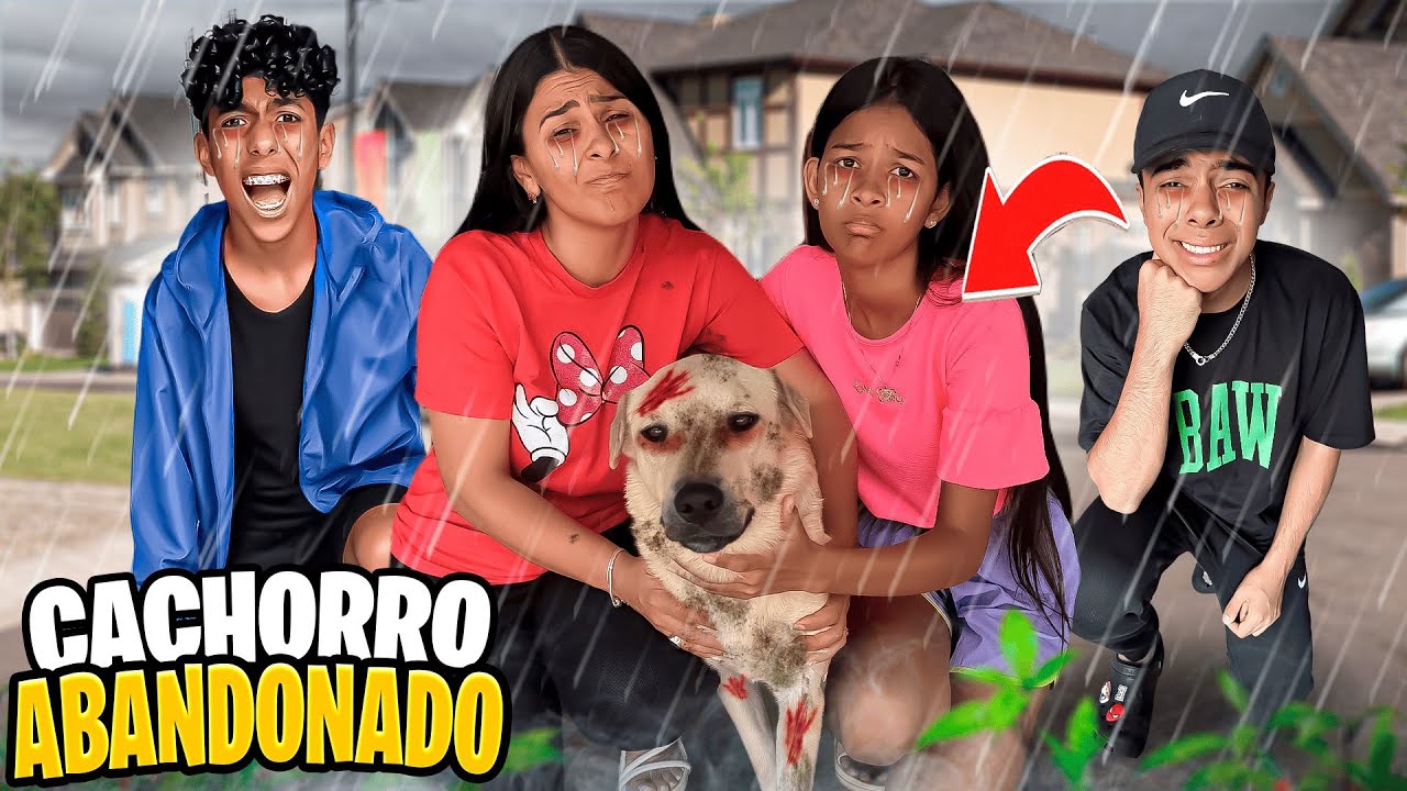 ABANDONARAM UM CACHORRO NA NOSSA PORTA!😱DEVEMOS ADOTAR?