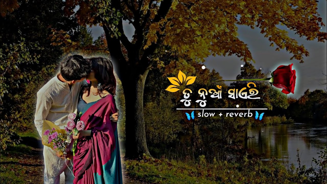 Tu Nua Sayari Na Nua Kabita 🌱 Odia romantic Lofi Song 🌱 #song #lofimusic