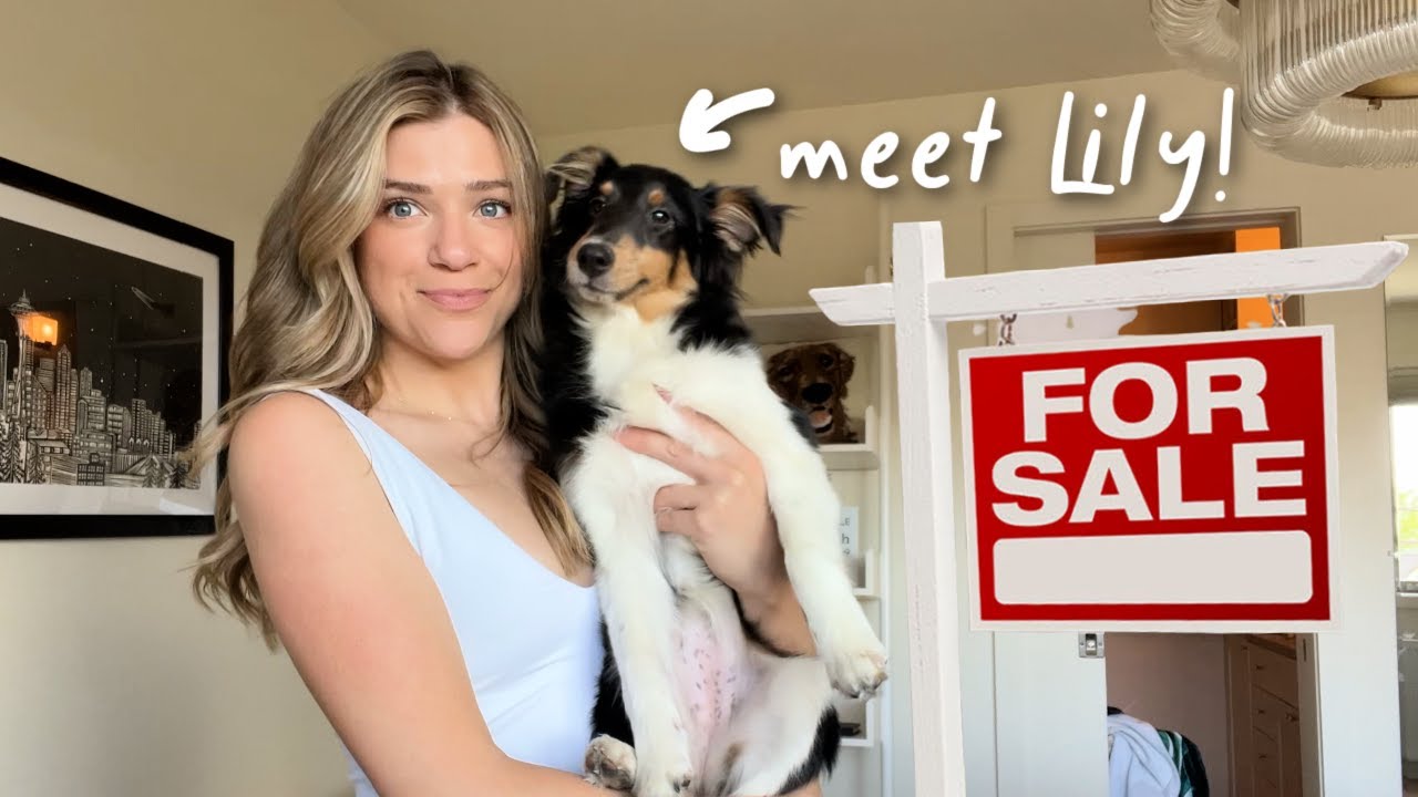 New House, New Dog, New Hair!