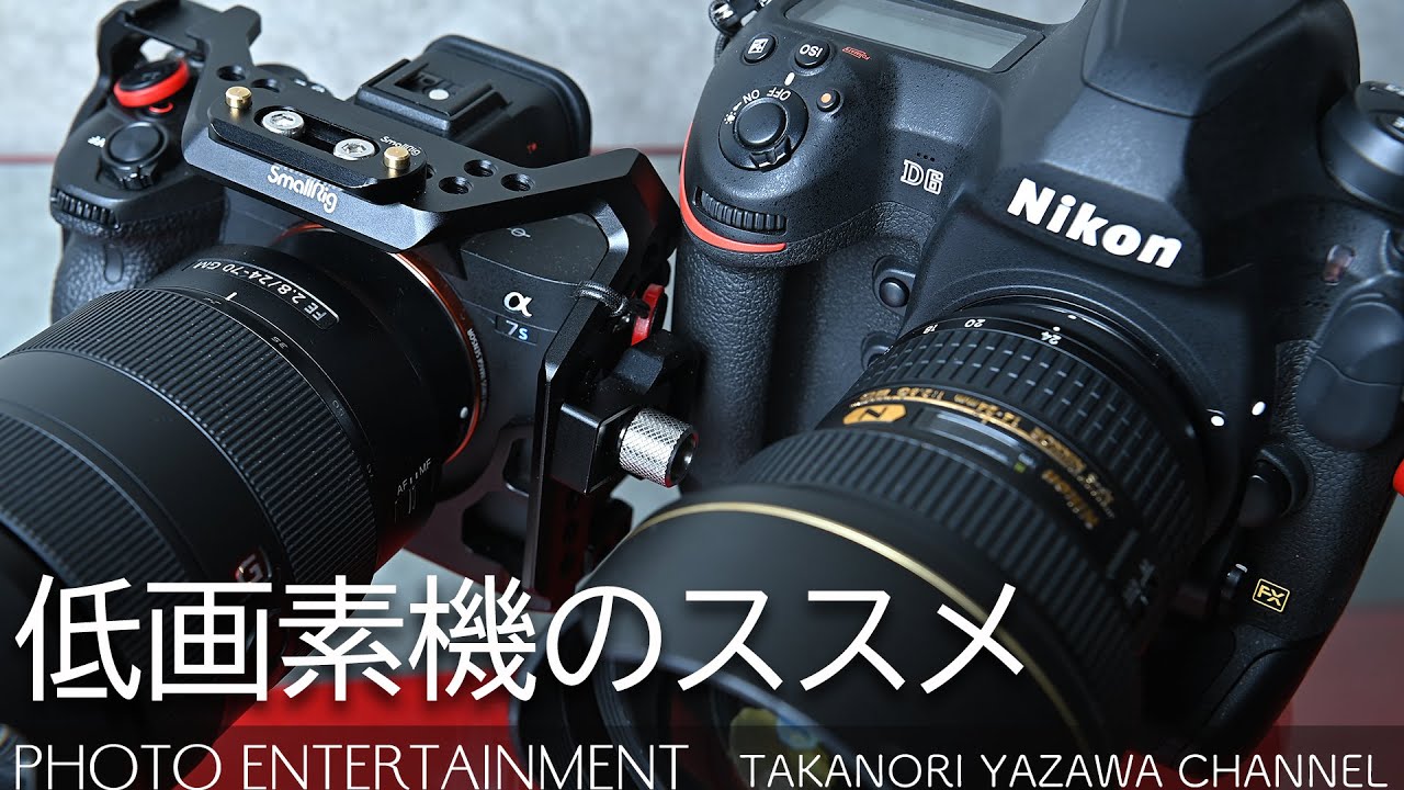 #332 【How to】低画素機と高画素機のメリット・デメリットと、フラッグシップ機がエントリーモデルより画素数が少ない理由～