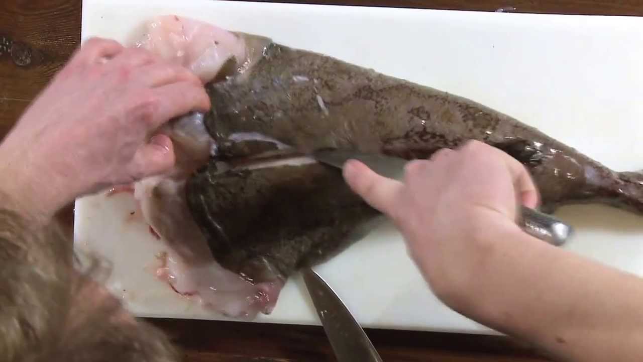 Filetering af havtaske - Skagenfood.dk