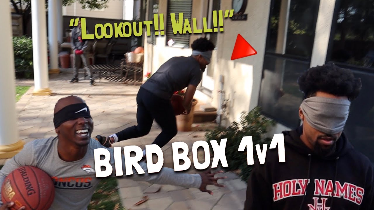 BIRD BOX BASKETBALL 1v1!! *COMPLETELY BLIND-FOLDED*
