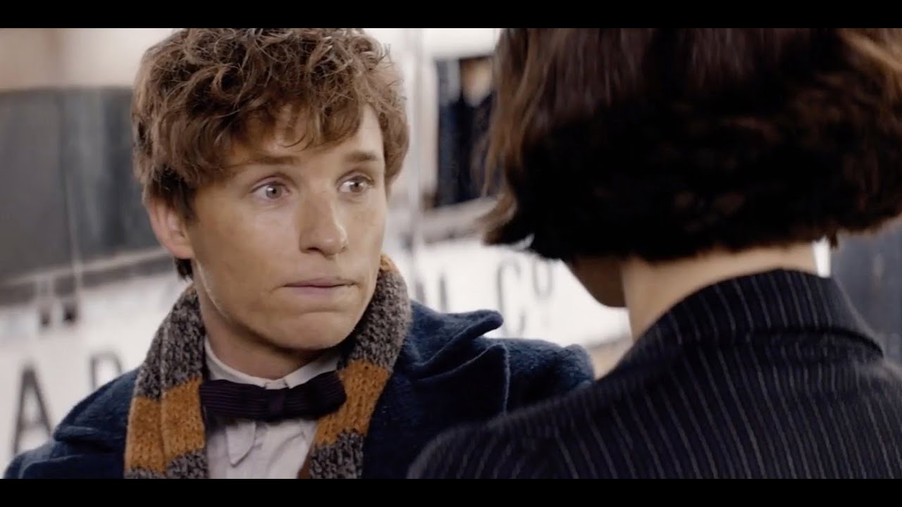newt scamander being adorable