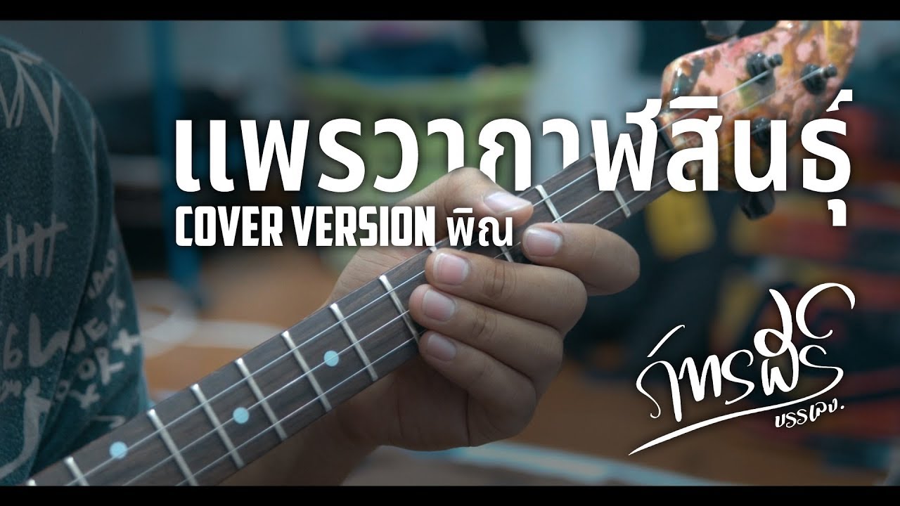 ลายแพรวากาฬสินธุ์ - จารย์พีร์ มือพิณข้าวขอบ「Official Audio」
