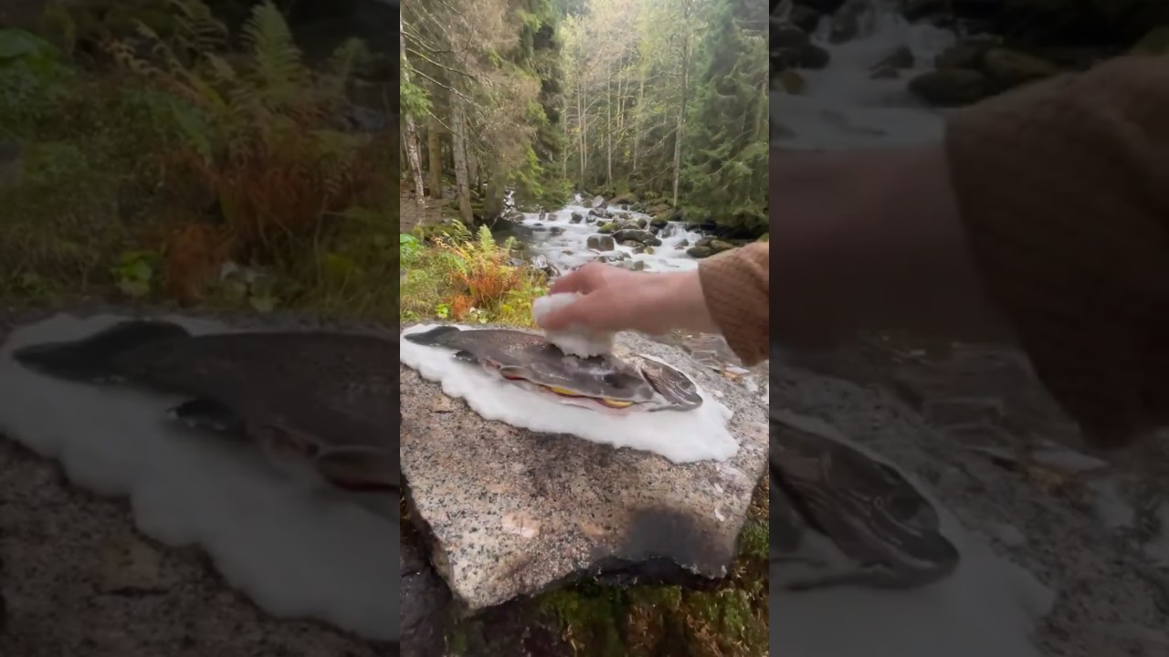 🔥🌲 Wildes Kochen in der Natur