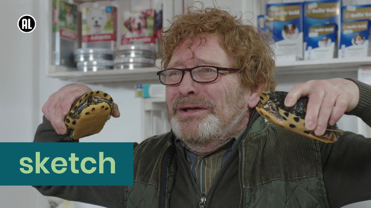 Etalageschildpadden | Dierenwinkel