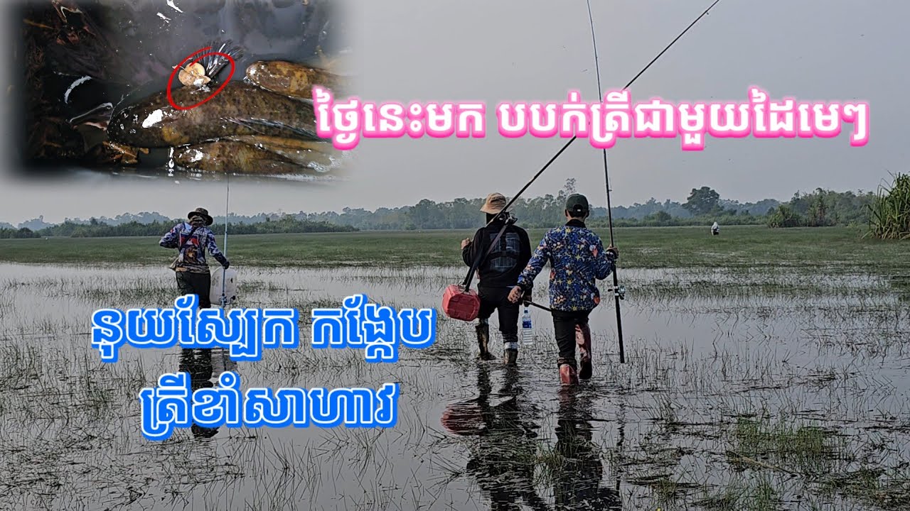 ចេញដំណើរទៅបបក់ត្រី នៅតាមបឹង #fish #fishing #adventure #cooking