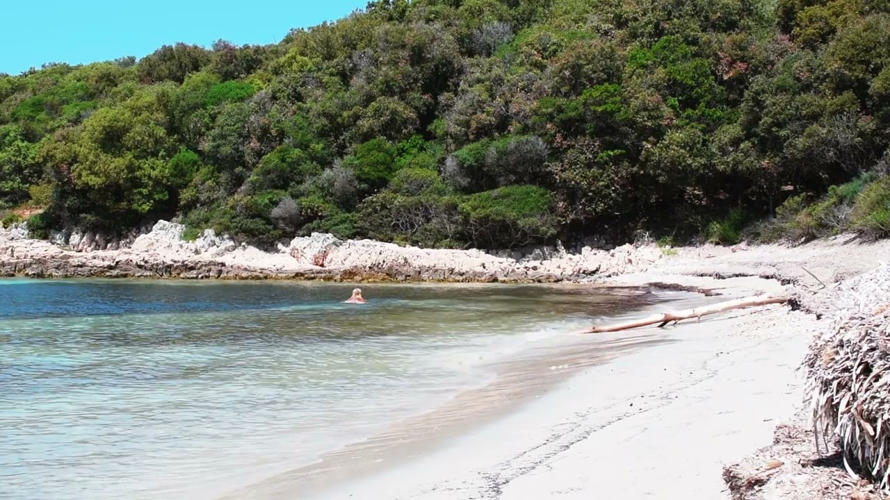 Stranded Tree