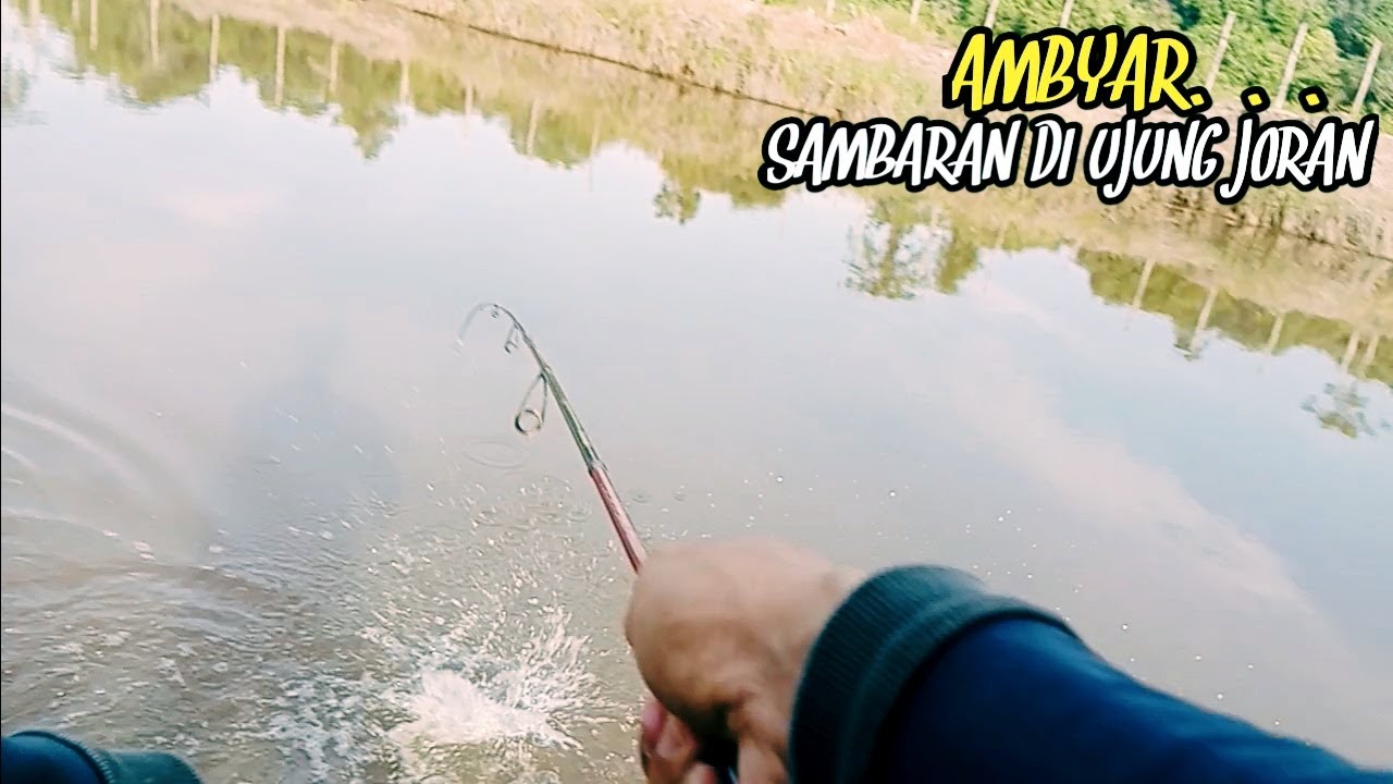 MAU HERAN TAPI INI KALIMANTAN..PARIT SAWITAN SEKECIL INI IKAN GABUSNYA MILYAR'AN