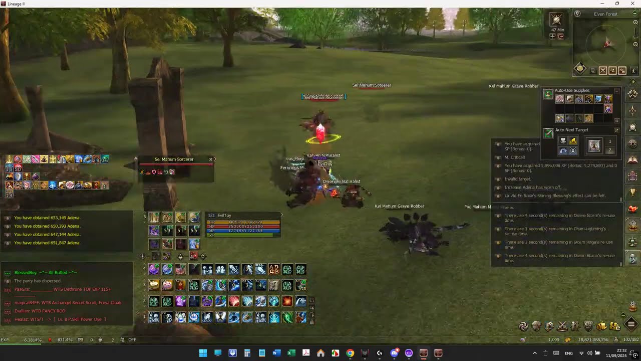 Lineage II Official Naia Server: Sayha's Seer (Chain Lightning Skill) vs Pantheona 120 lvl