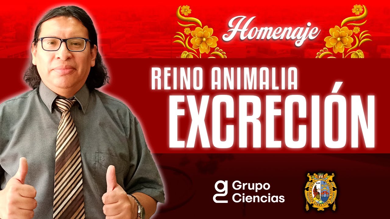 🦁 Reino Animalia: Excreción | Biología [ Homenaje ]