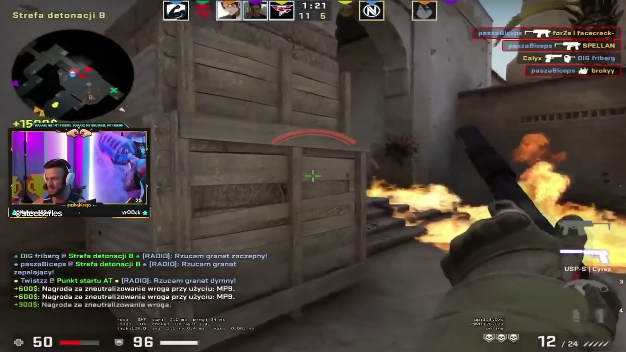 pasha eco fragi