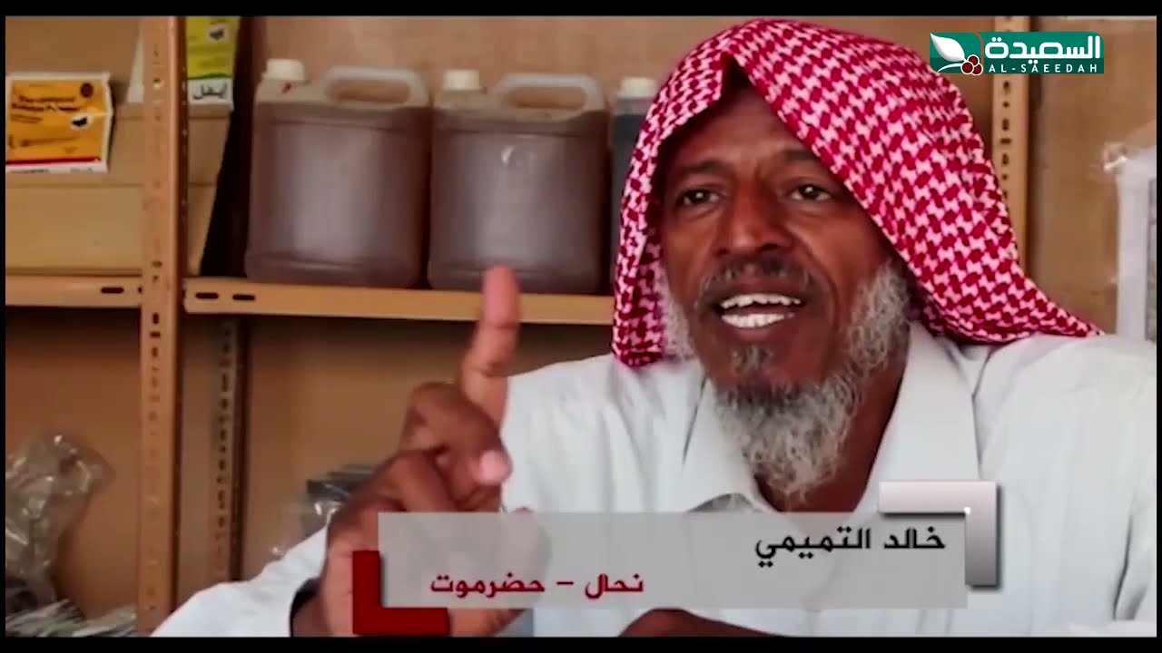 السدر الحضرمي يبدا موسمه..وشهرة عالمية لعسل دوعن