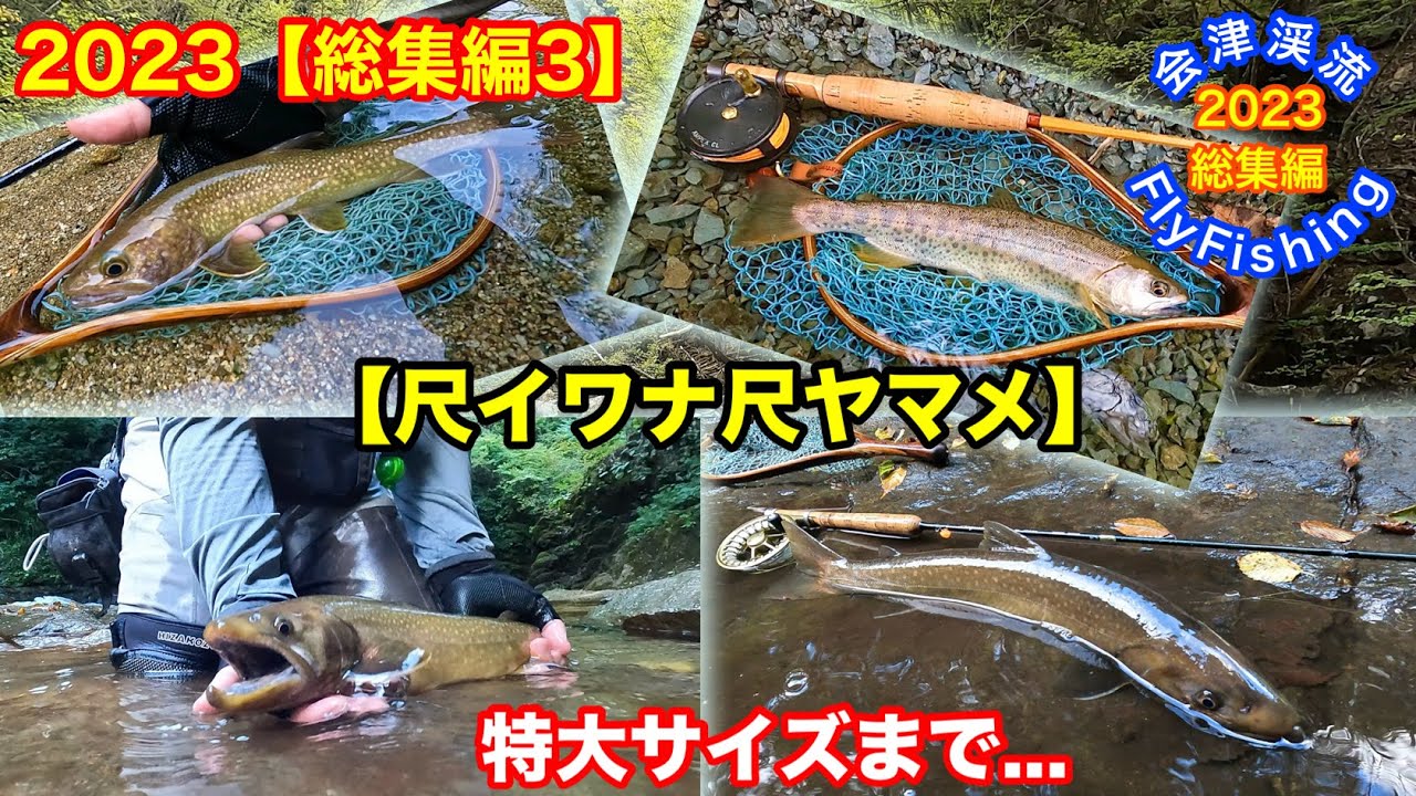 会津渓流FlyFishing 2023【総集編3】【尺イワナ尺ヤマメ】特大サイズまで...