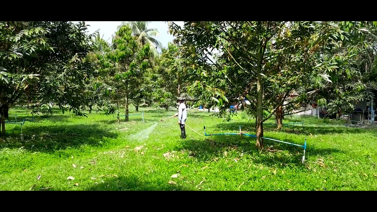 คนทำสวนเรียน#วันนี้ฉีดยาเหมือนเดิมจ้า🌳1