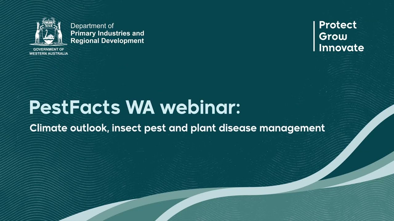 Вебинар PestFacts WA: Прогноз климата, борьба с насекомыми-вредителями и болезнями растений