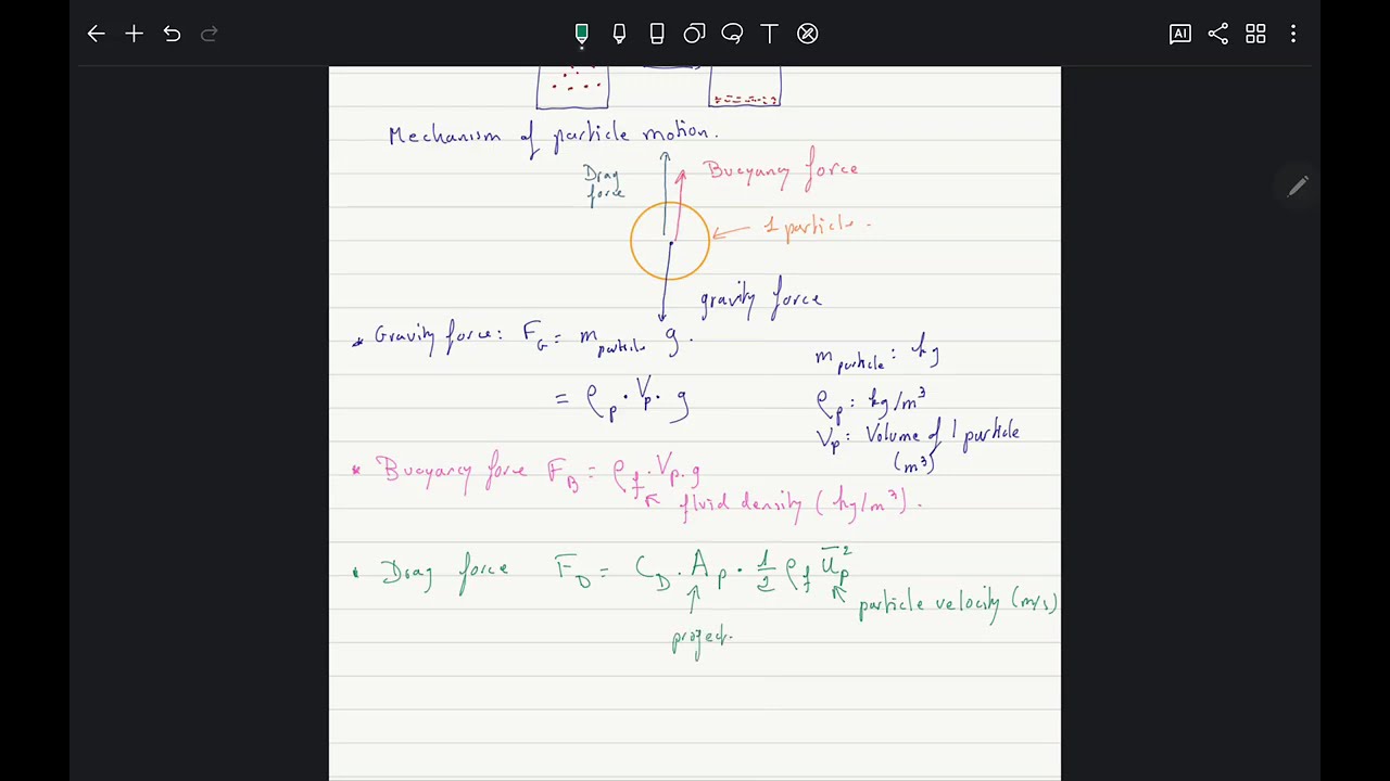 Raw series: Terminal velocity during particle sedimentation