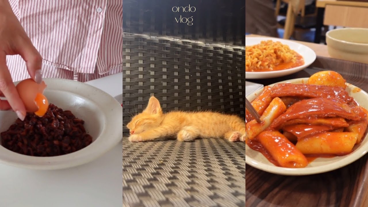 위가 늘어난 요즘..🍜🍔토마토 김치와 대전당일치기 다녀 온 일상🥖🥐