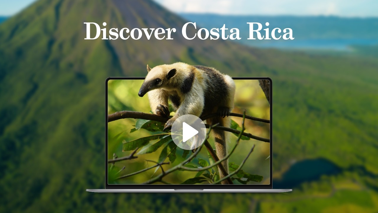 Discover Costa Rica's Incredible Biodiversity