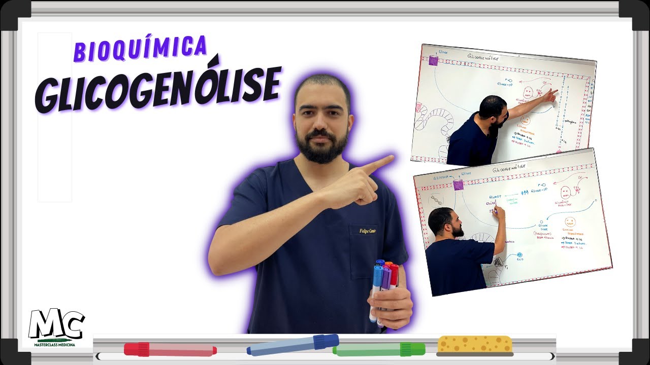 Bioqu&iacute;mica: Glicogen&oacute;lise