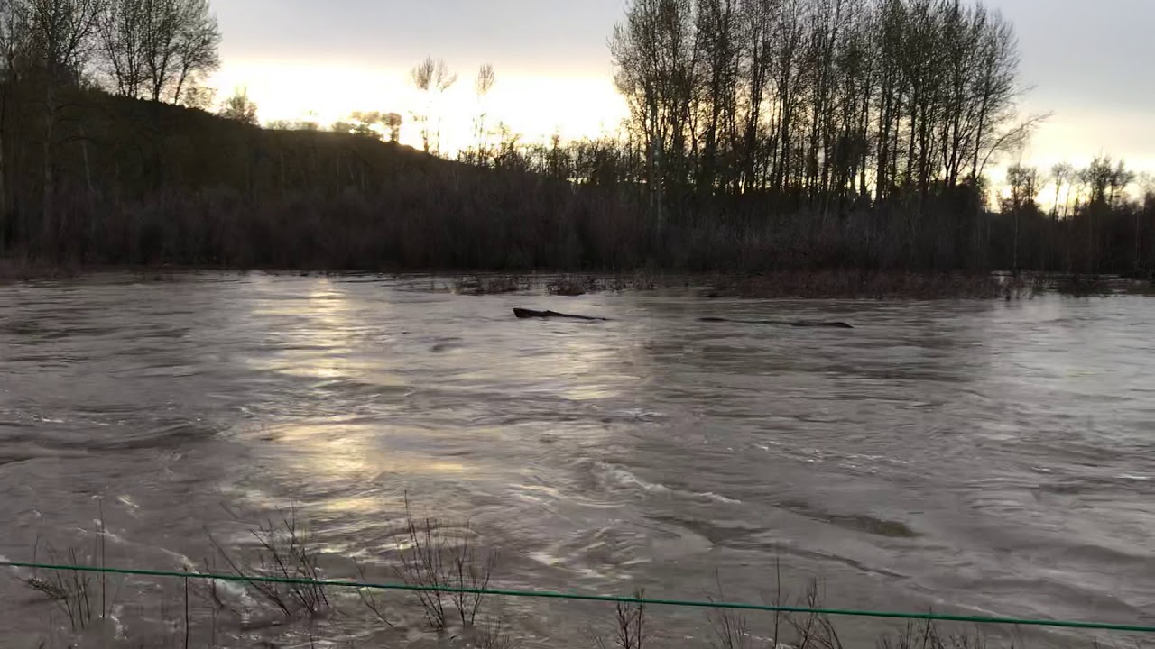 Fast moving river