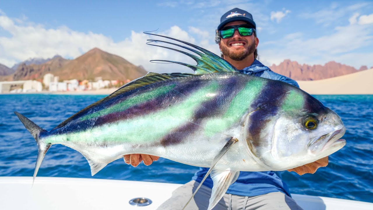 3 Days Chasing Every Iconic Fish in Mexico!