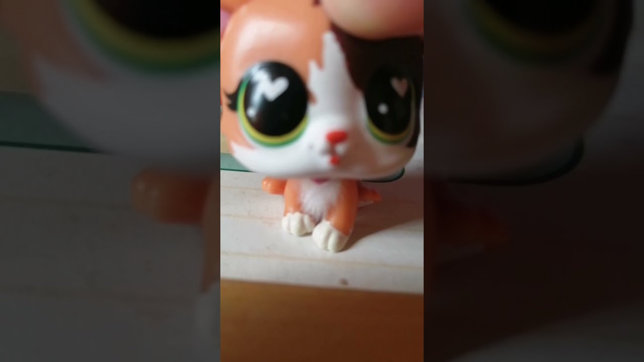 ⚜️Lily⚜️lps mv~ |💕Flamingo lps🦩
