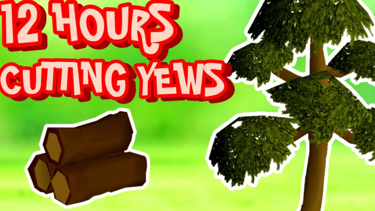 Yew Logs BUT I GIVE EVERYTHING AWAY