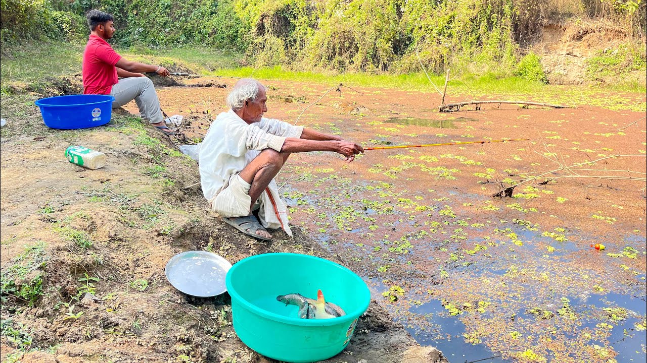 Fishing Video || Grandpa and grandson are fishing together with hooks in the village's large canal