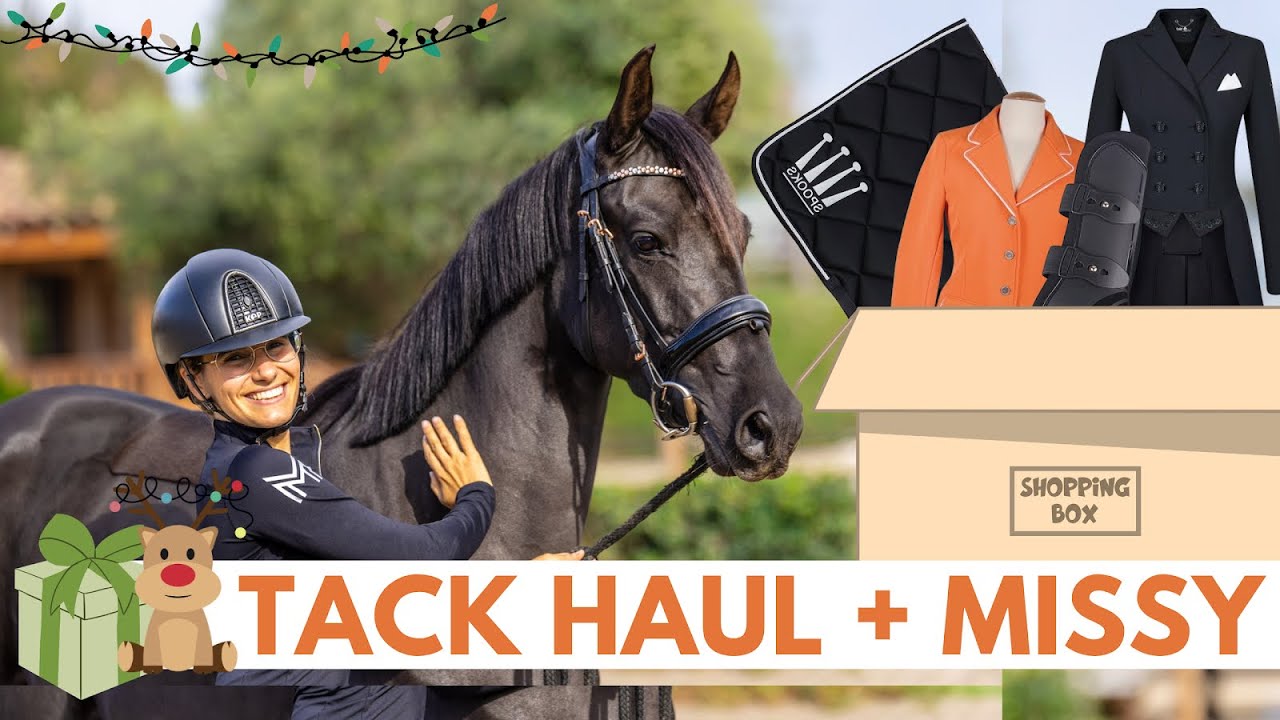 VLOG – Tack Haul 📦 de Navidad 🎄 + aventuras ⚔️con Missy! 🦋