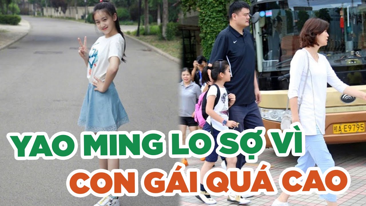 Yao Ming lo sợ con gái quá cao đi theo con đường của mình