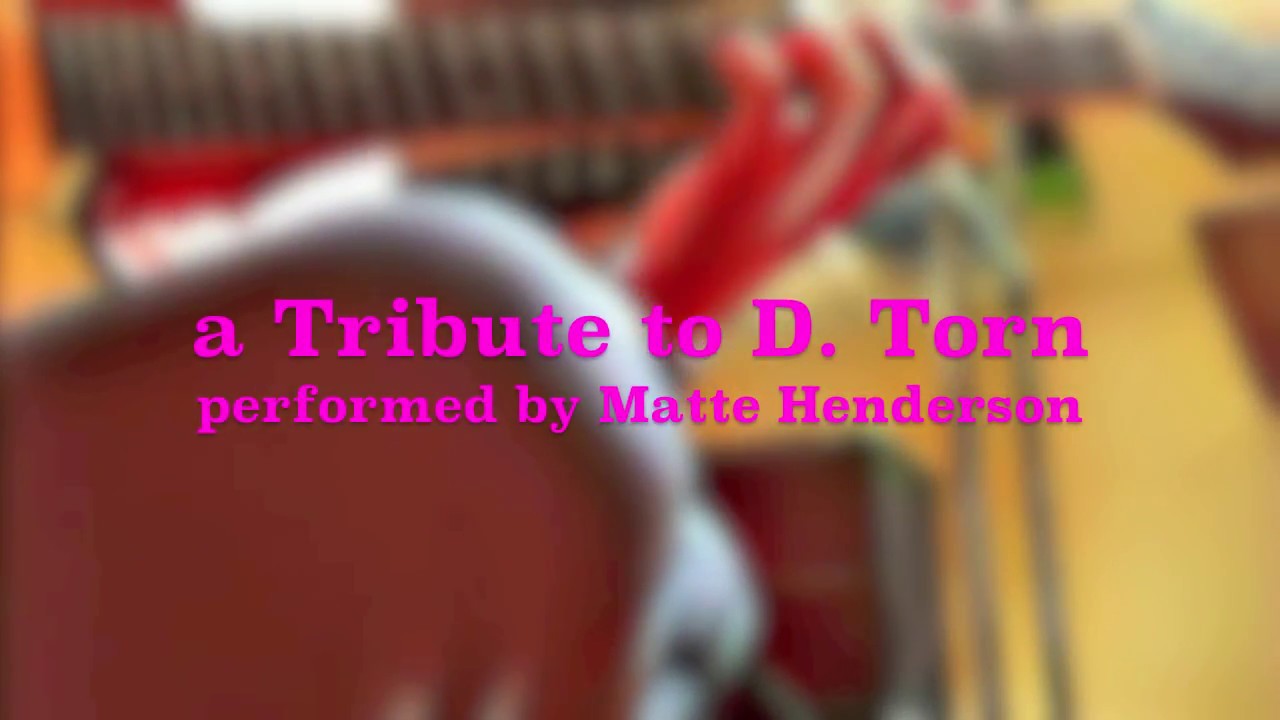 Fluxmachines - a Tribute to David Torn performed by Matte Henderson