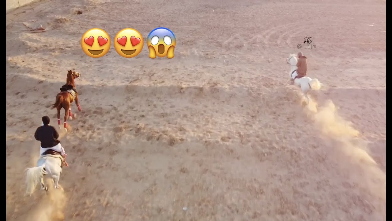 لو طاح خويك من حصانه تقدر تسوي كذا ؟ 🔥