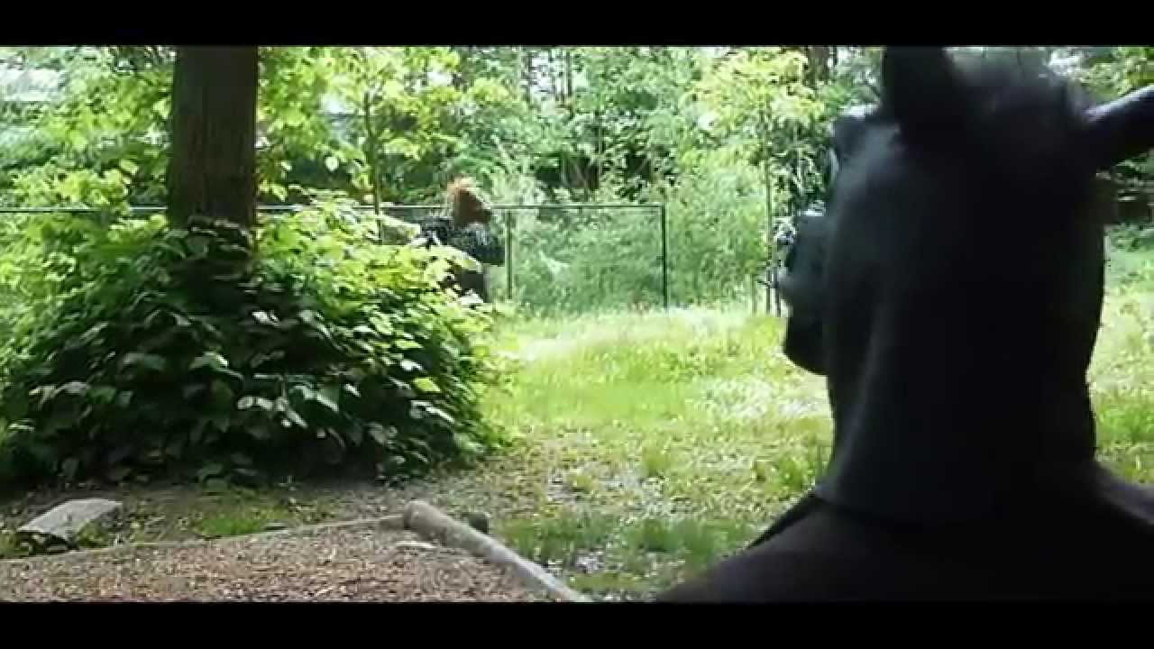 HORSE MASK PRANKS #3 TRAILER