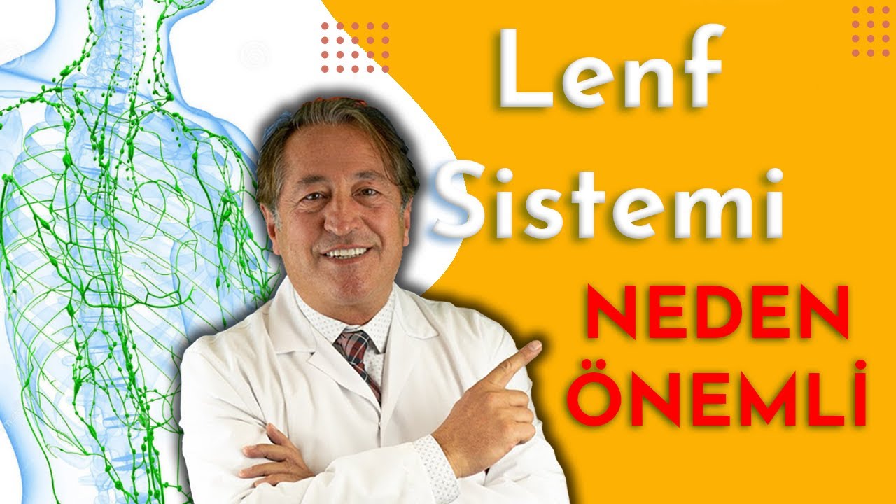 Lenf Sistemi Neden Önemli