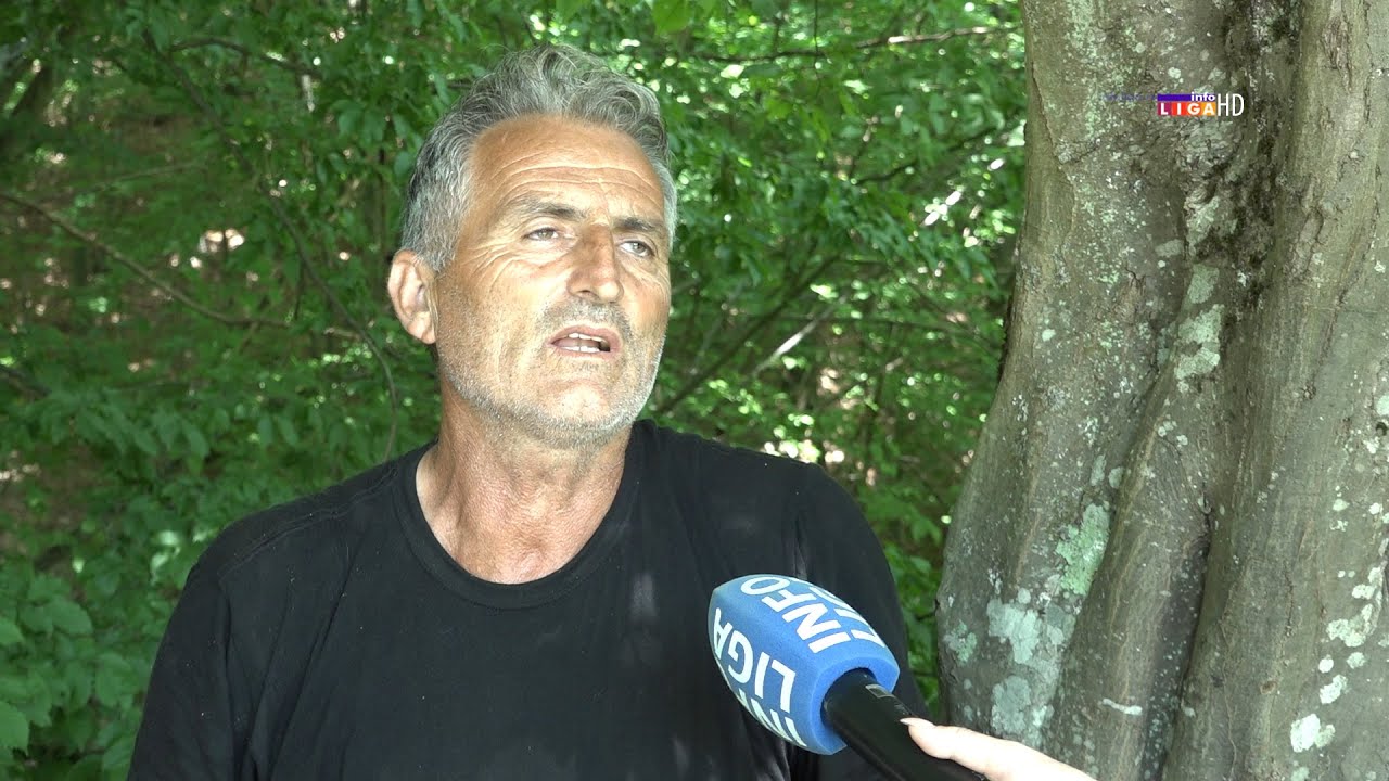Muke berača maline: Danju se kupamo u znoju, a po čitavu noć beremo maline u snu