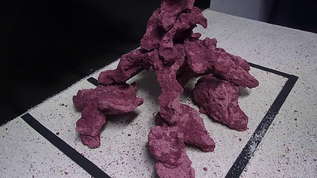 EpoReef 2020 Teil 2 / Das 5kg Set