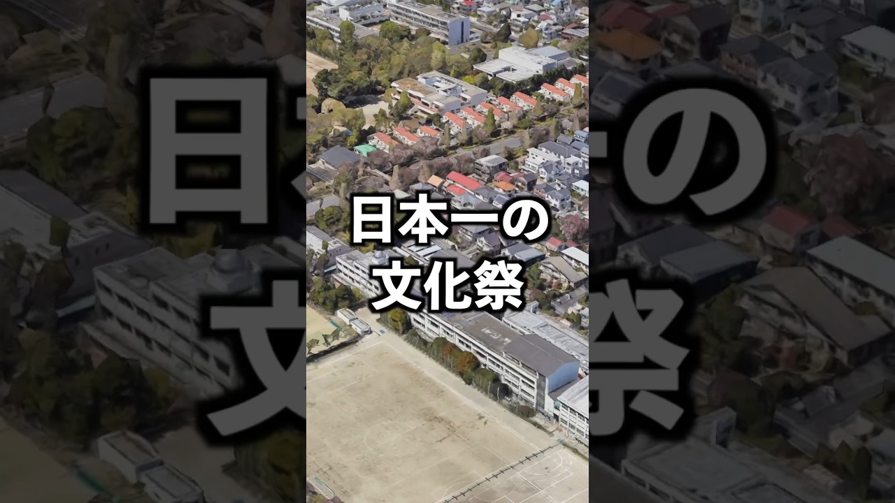 文化祭といったらココ！#都立高校 #高校受験 #高校入試 #文化祭
