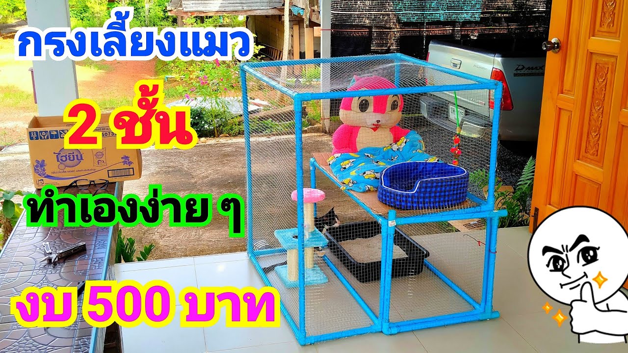 วิธีทำกรงเลี้ยงเลี้ยงแมว  ต้นทุนต่ำ งบไม่บานปลาย🐈👷How to make a cat cage