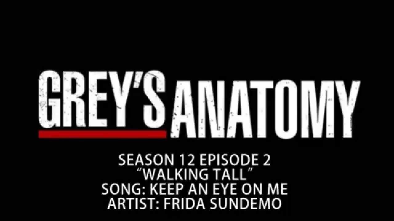 Grey's Anatomy S12E02 - Keep An Eye On Me by Frida Sundemo