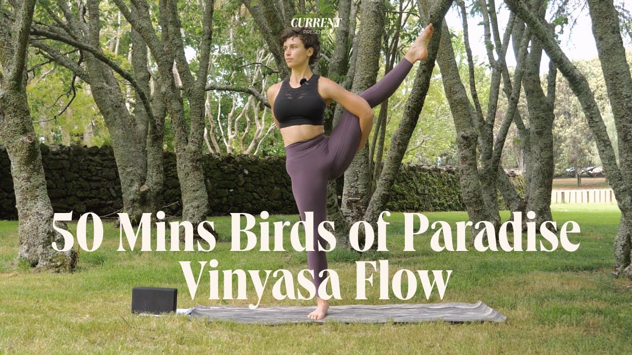 50 Min Strong Vinyasa Flow w/ Bind Options, working to Birds of Paradise
