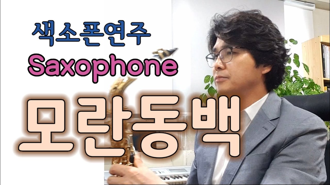 모란동백 조영남 나훈아 색소폰연주 안태건