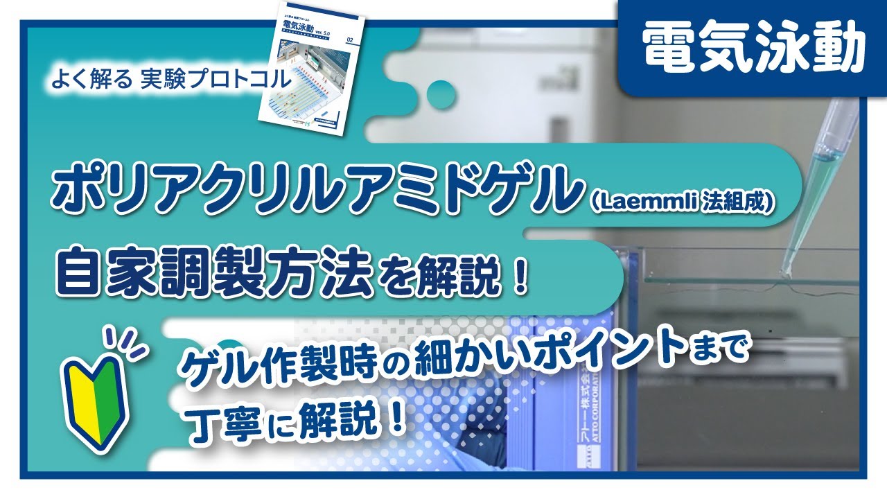 【よく解る実験プロトコル】ポリアクリルアミドゲル（Laemmli法組成）の自家調製方法