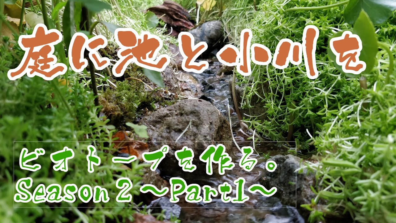 【庭池と小川をDIY】ビオトープを作る。Season2 -Part1-〜今までのおさらいと新たなスタート〜