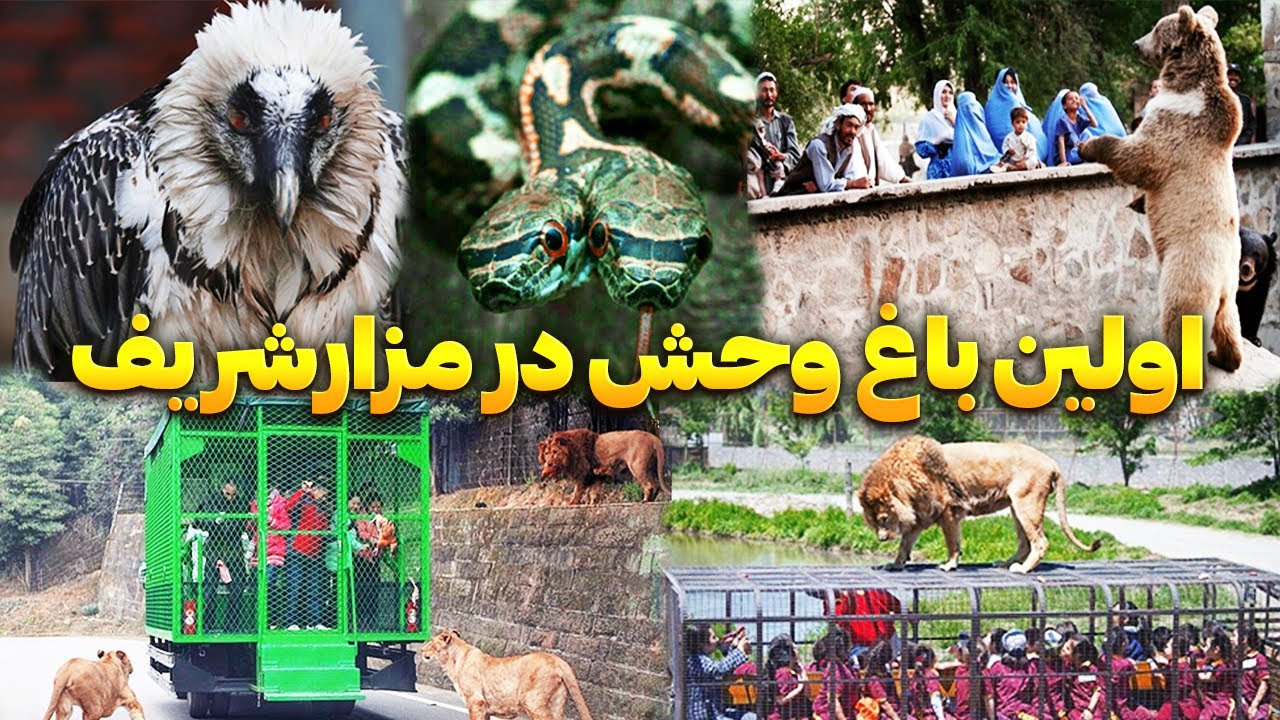 اولین باغ وحش در شهر مزارشریف