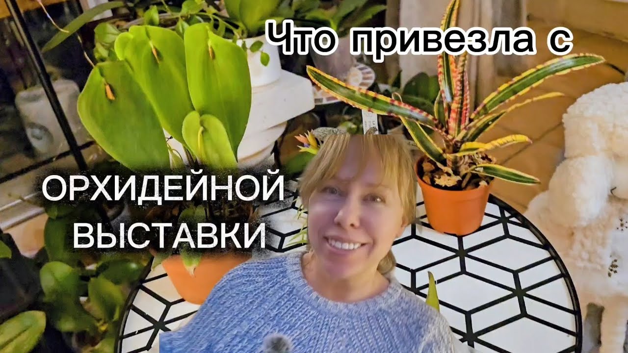 Орхидейная выставка января 2026 Франция / РАСПАКОВКА
