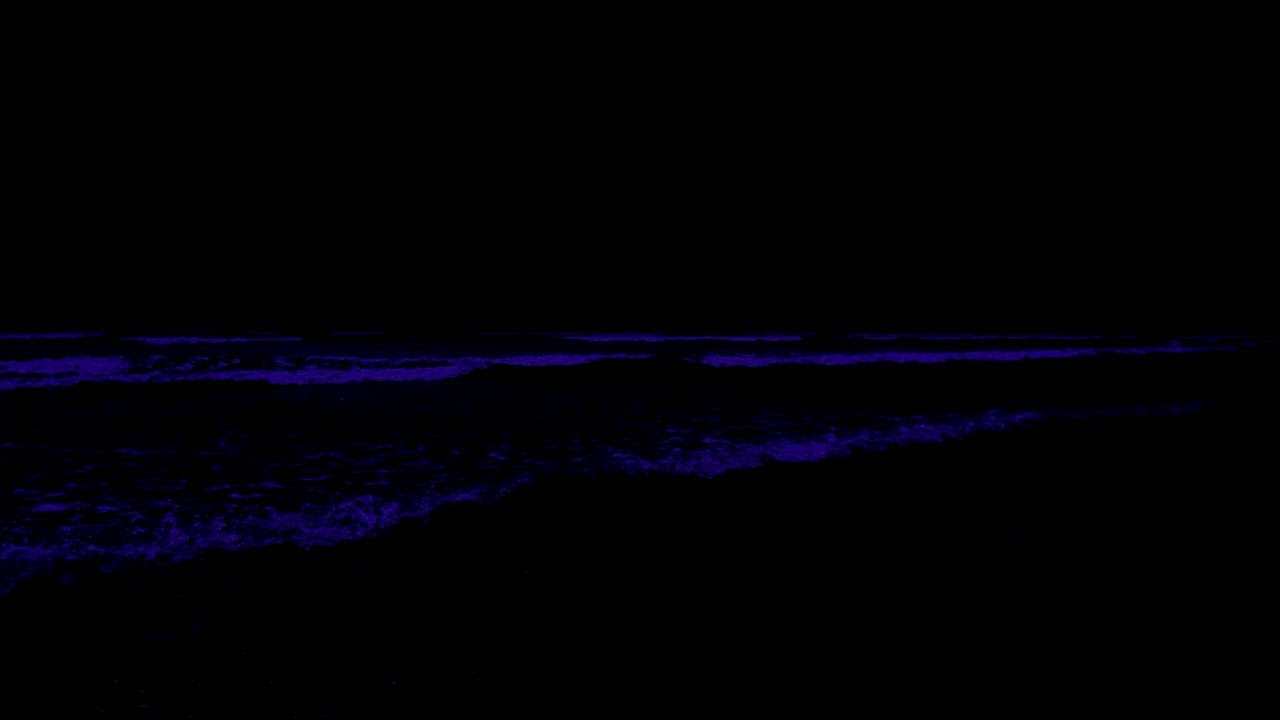 (NO ADS) Soothing Deep Sleep • Remove Insomnia For Ocean Sounds To Relaxing in Peaceful Night